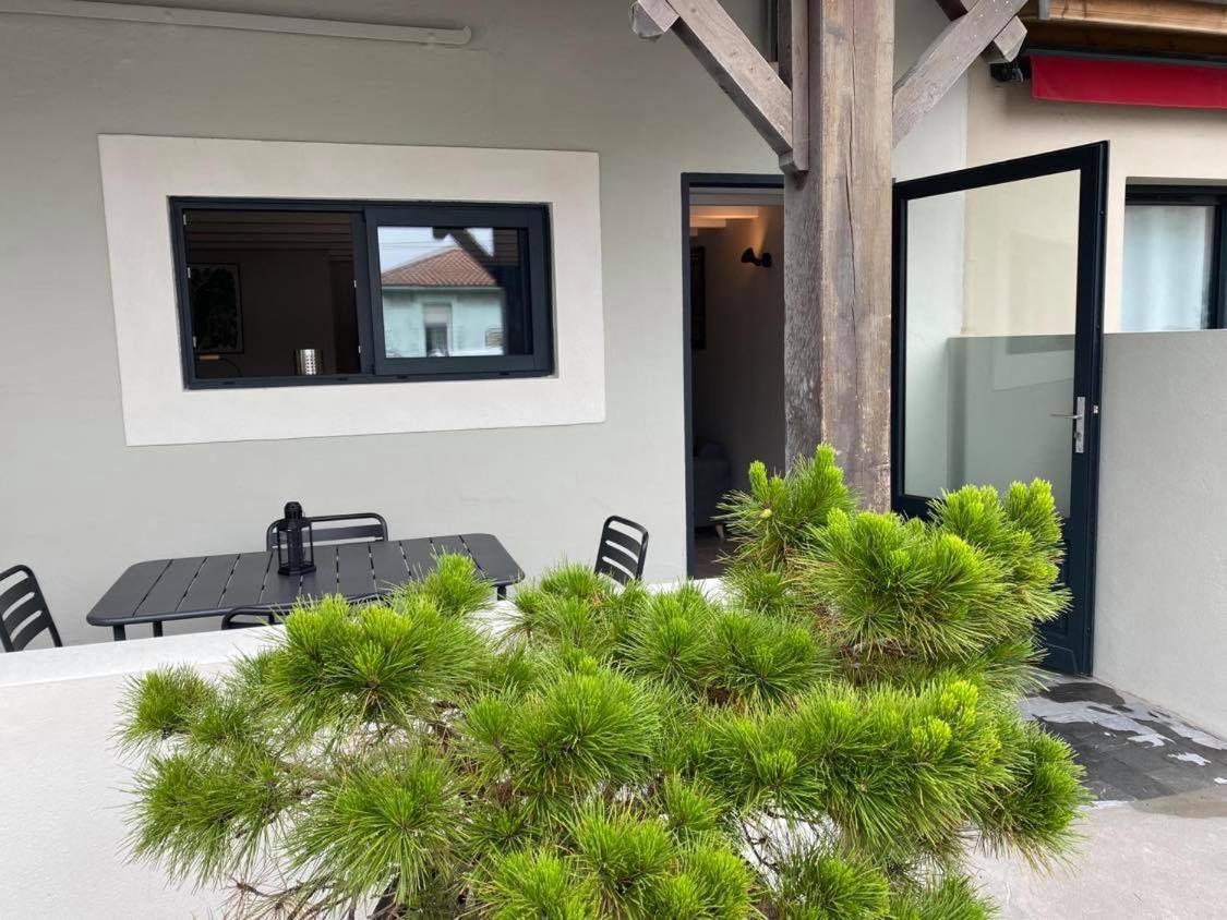 Appartement Du Centre La Teste-de-Buch Exteriér fotografie
